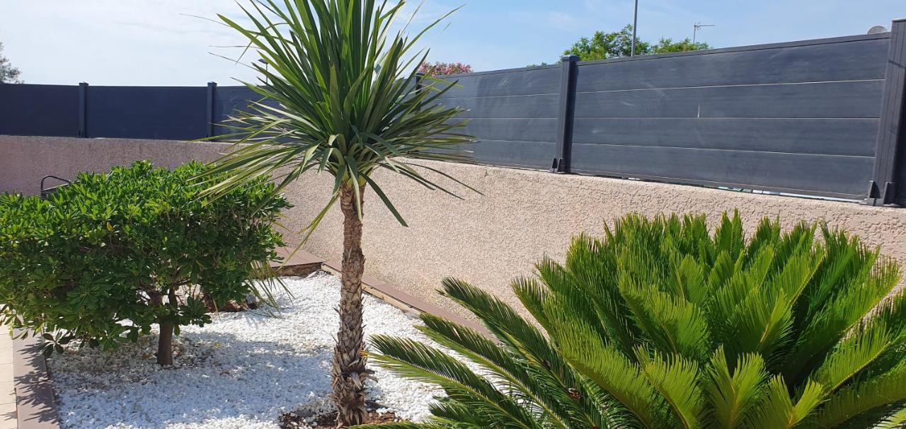 La Villa De L'Olivier Piscine Privee Et Parking Carcassone Kültér fotó