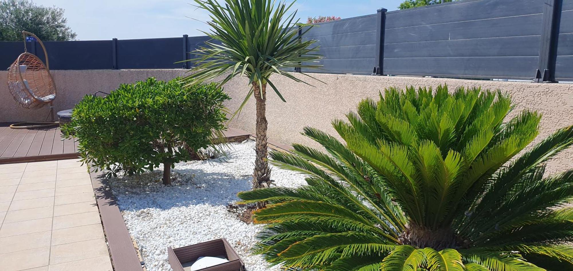 La Villa De L'Olivier Piscine Privee Et Parking Carcassone Kültér fotó